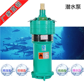QD系列家用小型高扬程多级叶轮潜水泵清水抽水泵小老鼠泵高压水泵